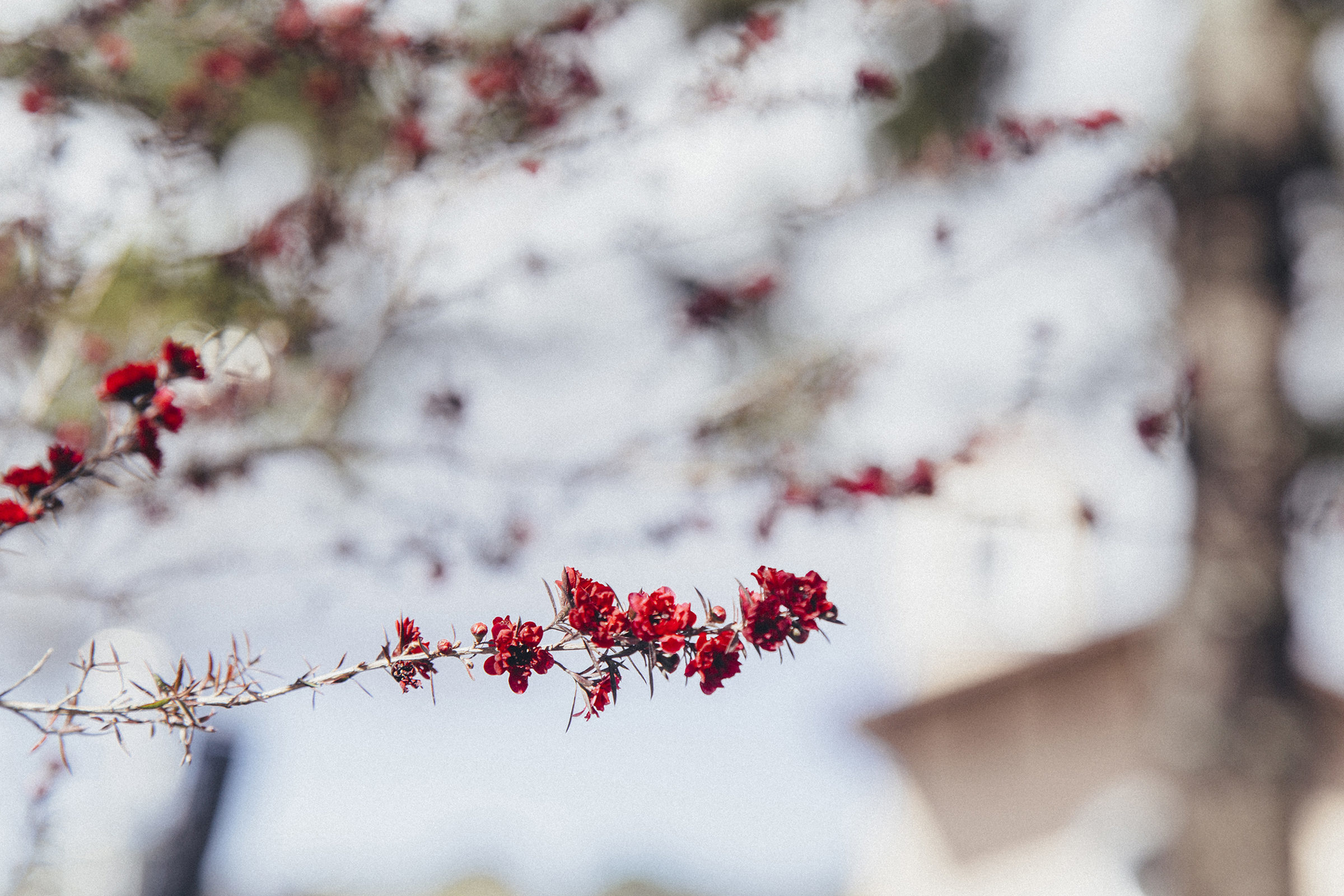 Foto de Fernanda Prestes 4