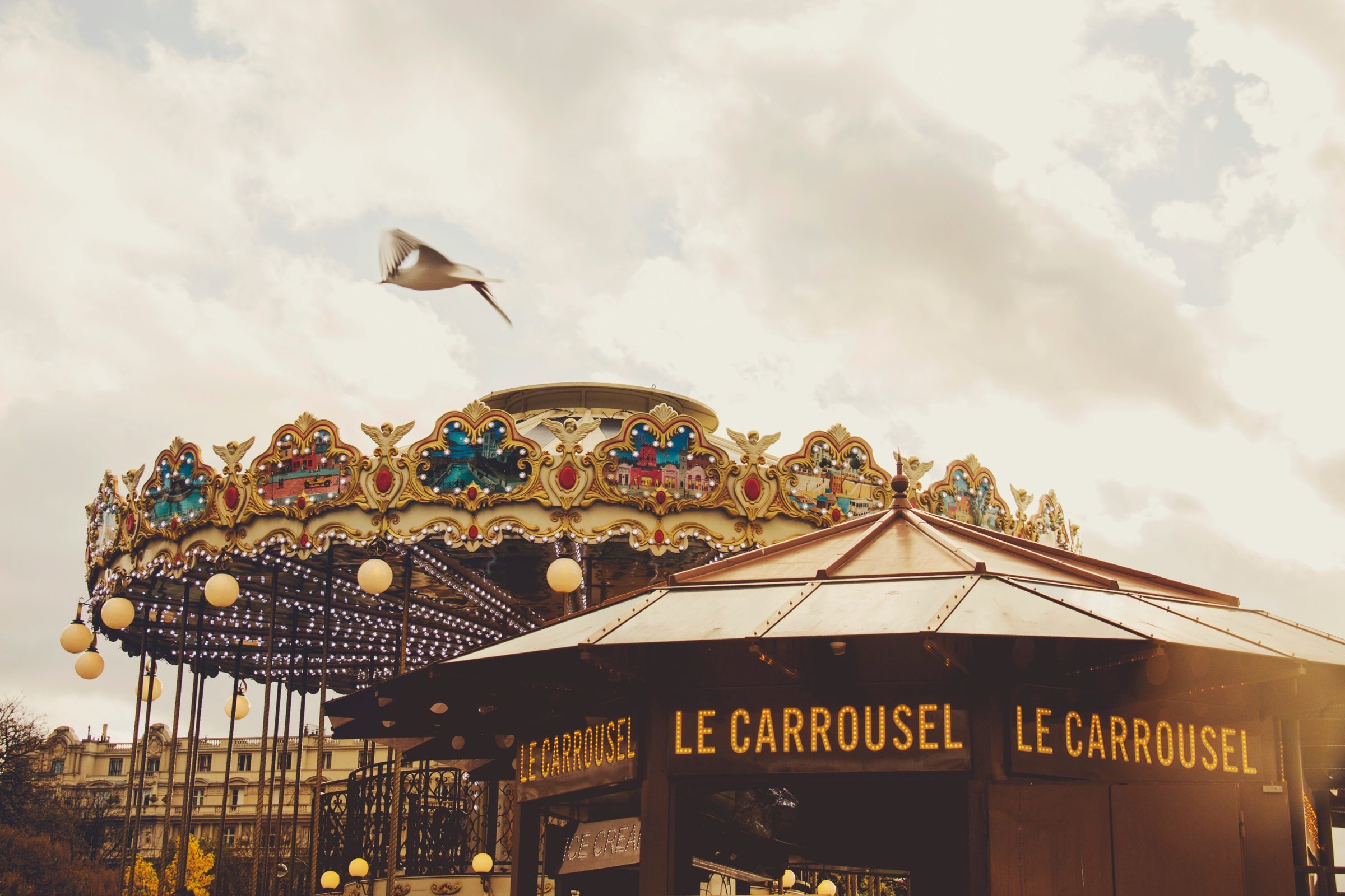 Foto de Fernanda Prestes 7