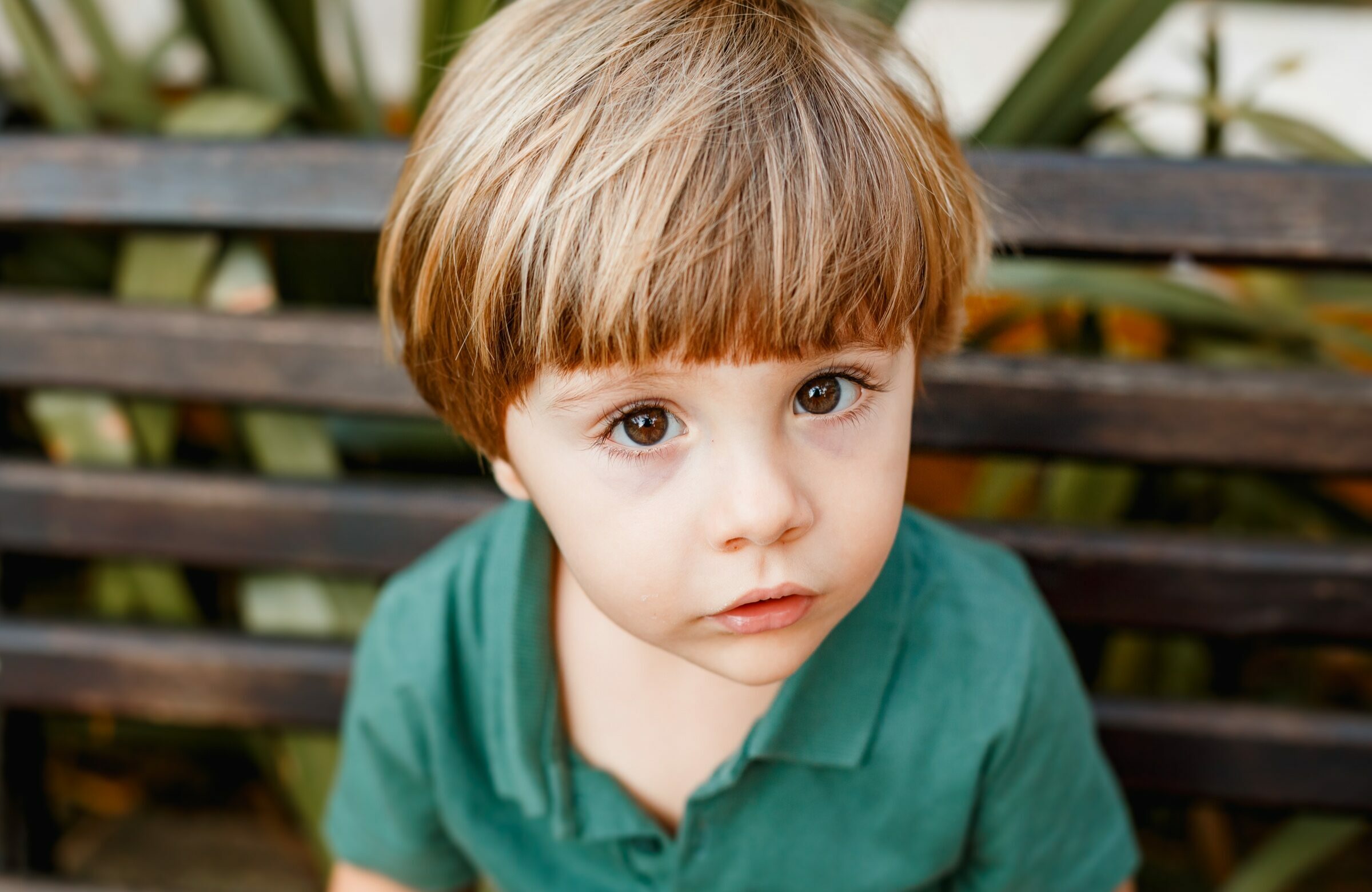 Foto de Fernanda Prestes 1