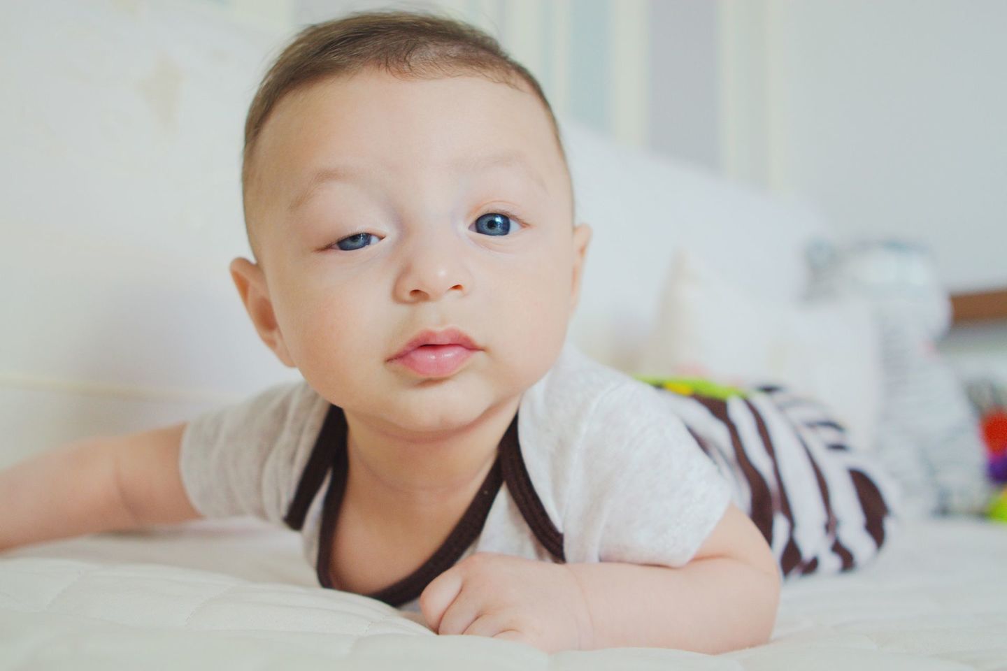 Acompanhamento de 1 ano do Pedro - Fotos de família em Jundiaí - São Paulo Acompanhamento de 1 ano do Pedro - Fotos de família em Jundiaí - São Paulo