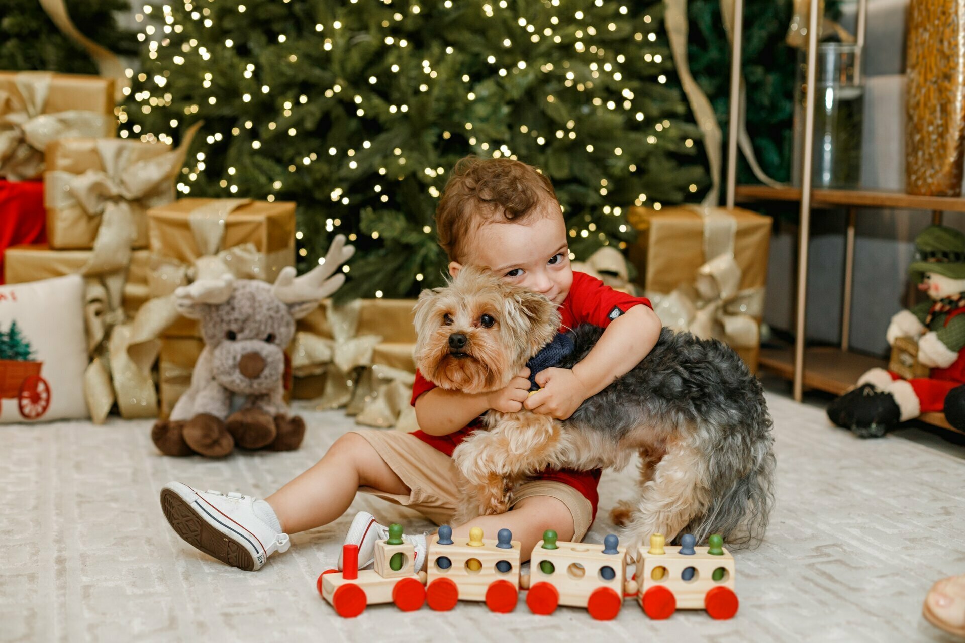 Memórias de Natal para a Família Guazzelli - Alphaville