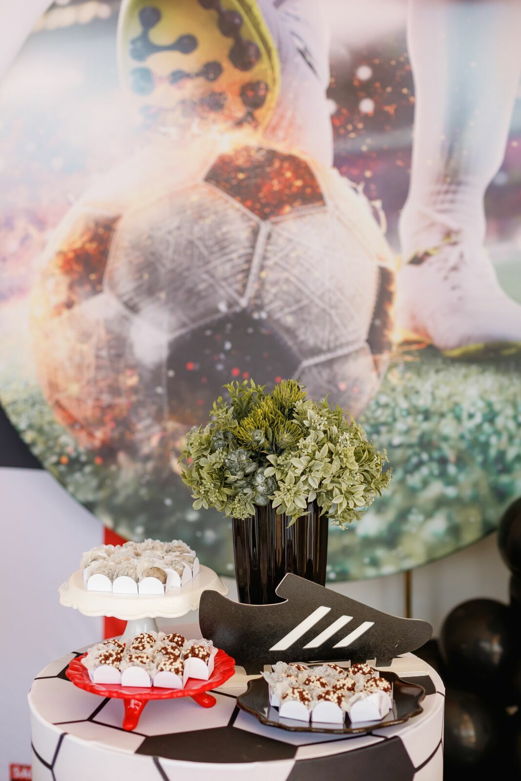 Foto felipe - Imagem 11