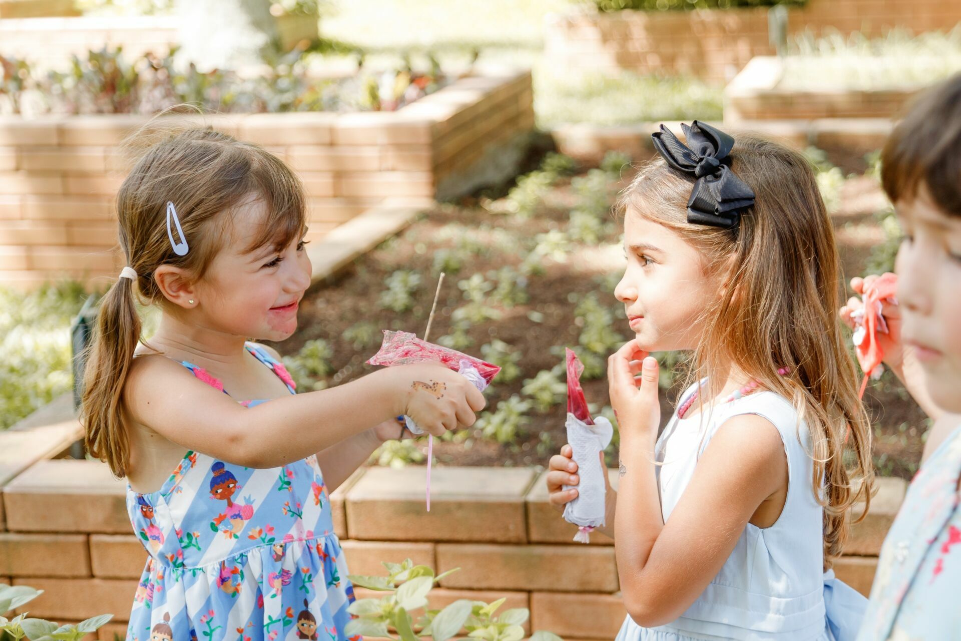 Foto pdf - Imagem 37