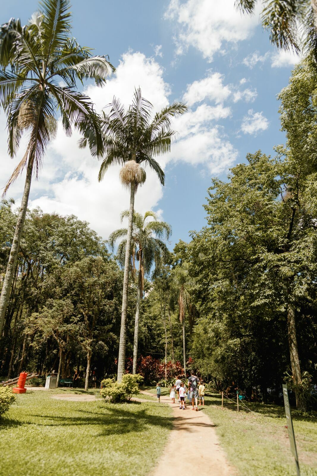 Foto pdf - Imagem 33