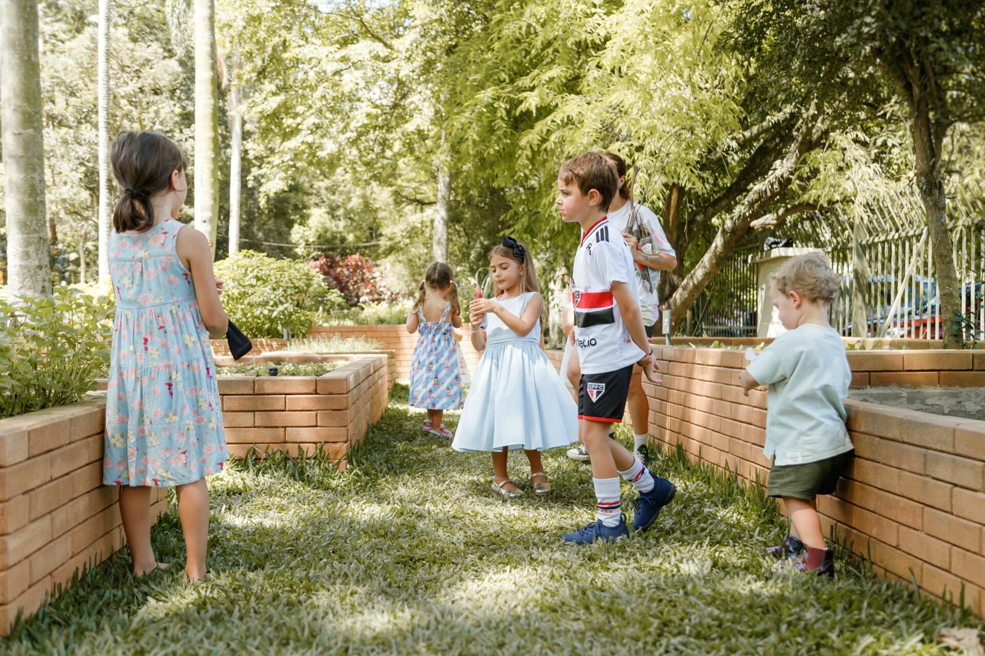 Foto pdf - Imagem 36