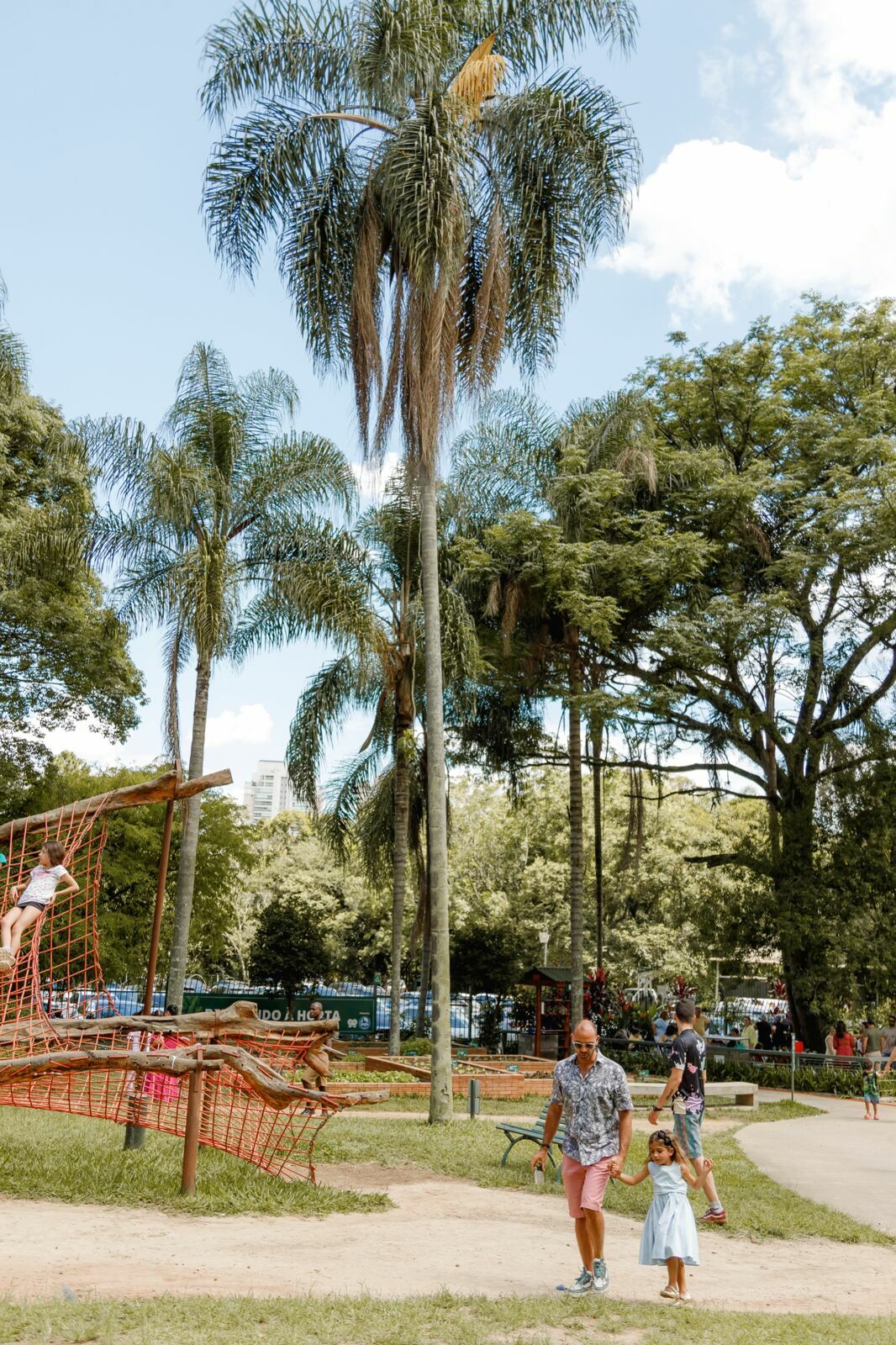 Foto pdf - Imagem 50