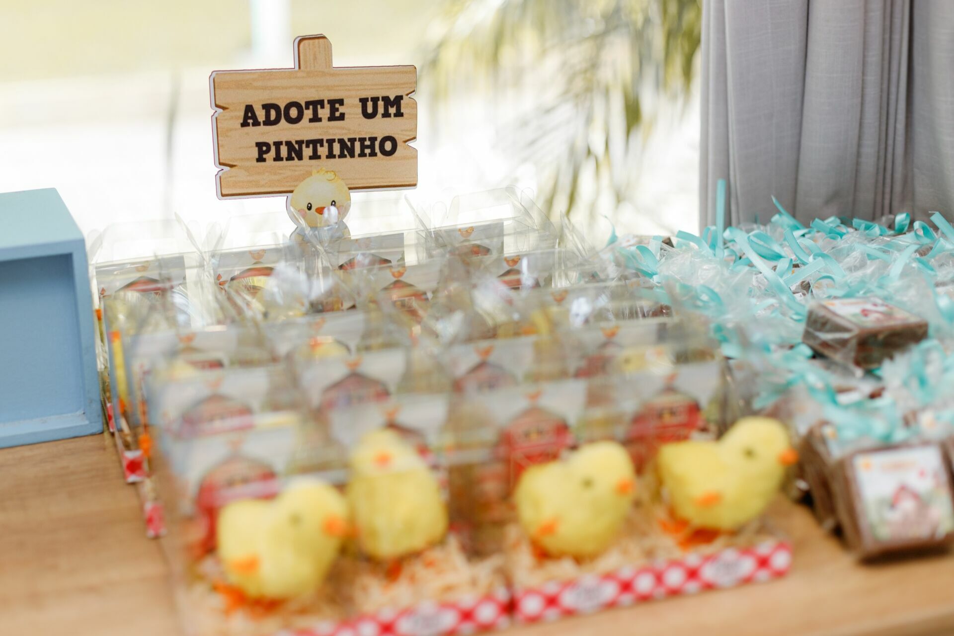 Foto caio - Imagem 13