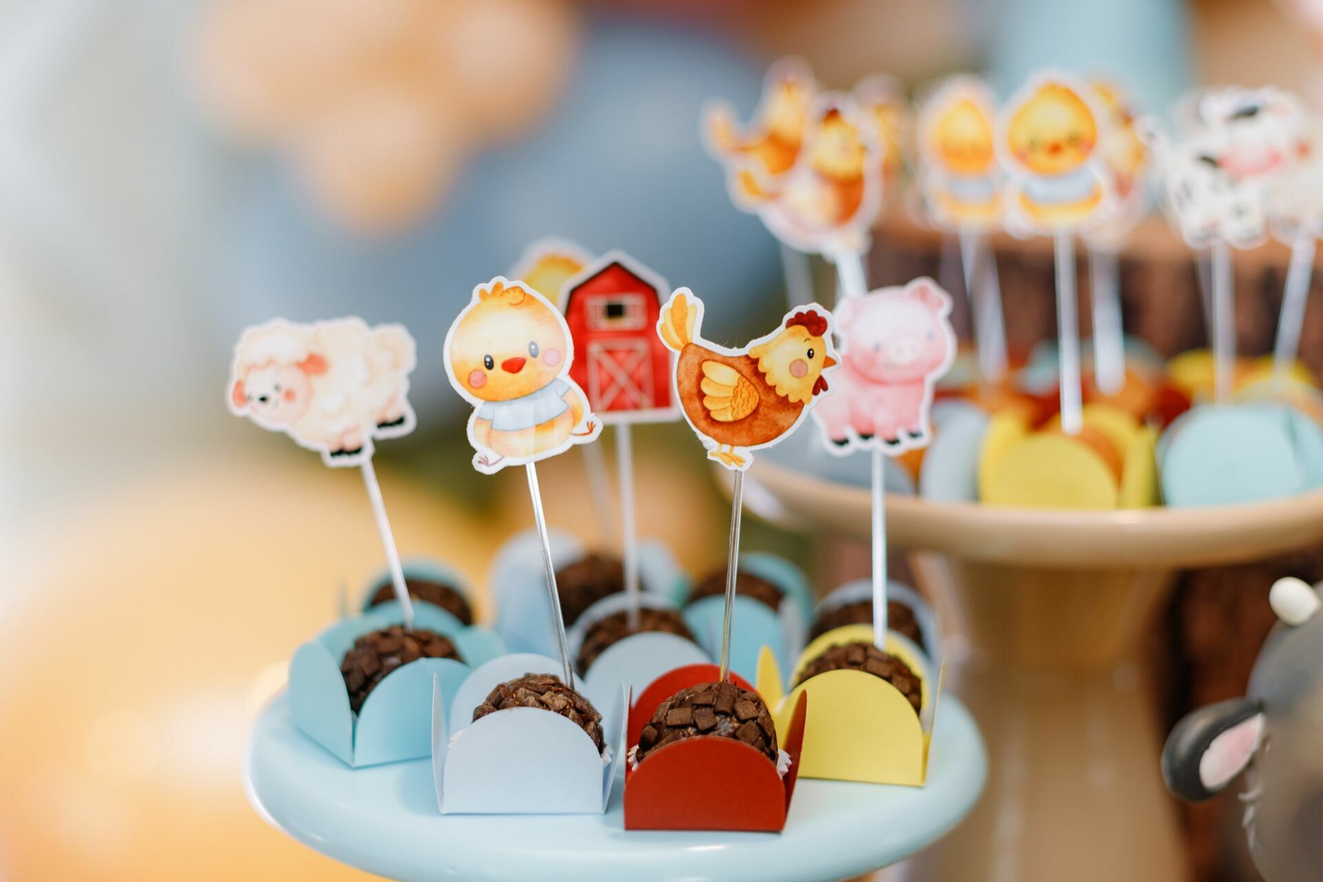 Foto caio - Imagem 0