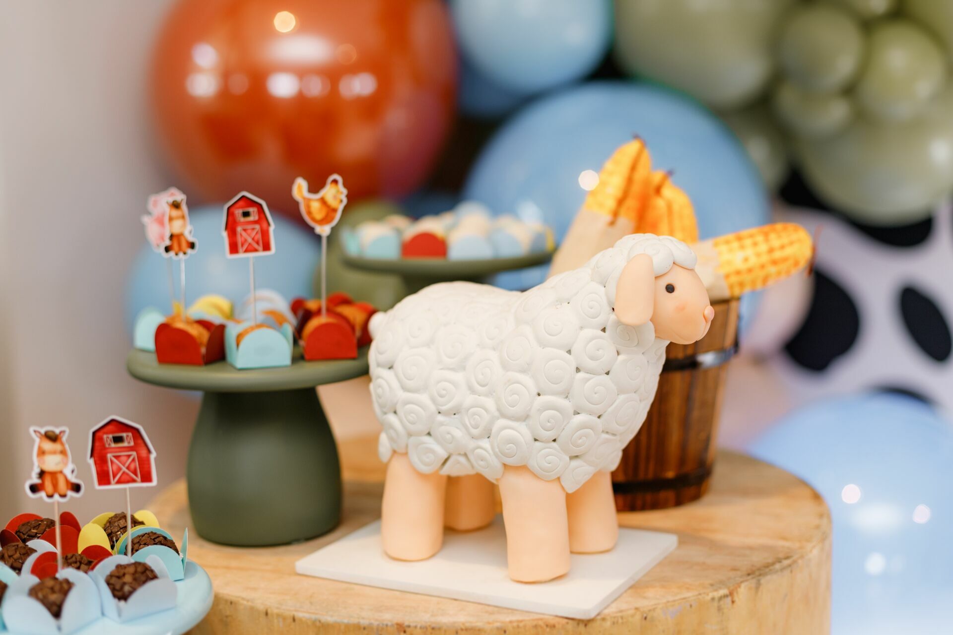 Foto caio - Imagem 6