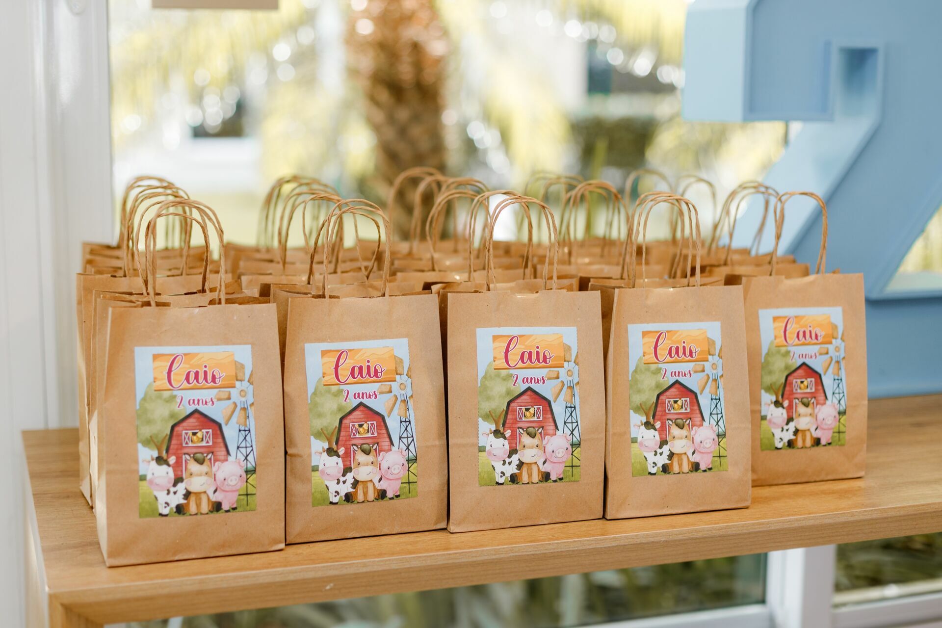 Foto caio - Imagem 11