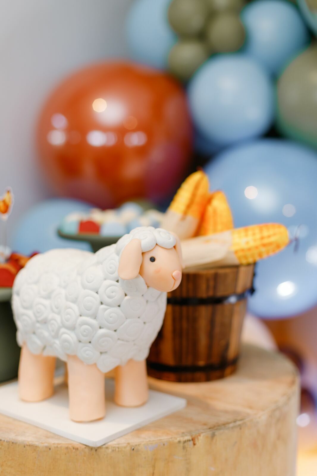 Foto caio - Imagem 8