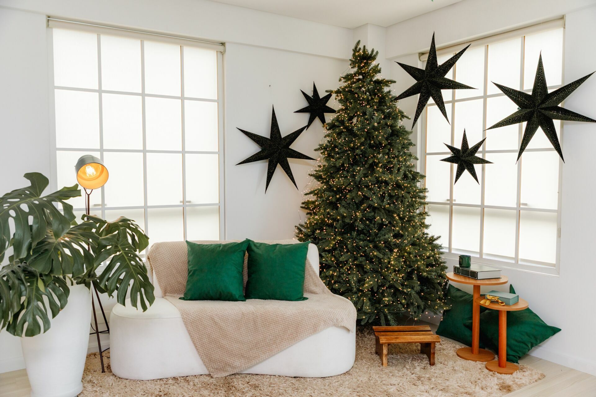 Foto sdfsdf Foto sdfsdf - Imagem 2