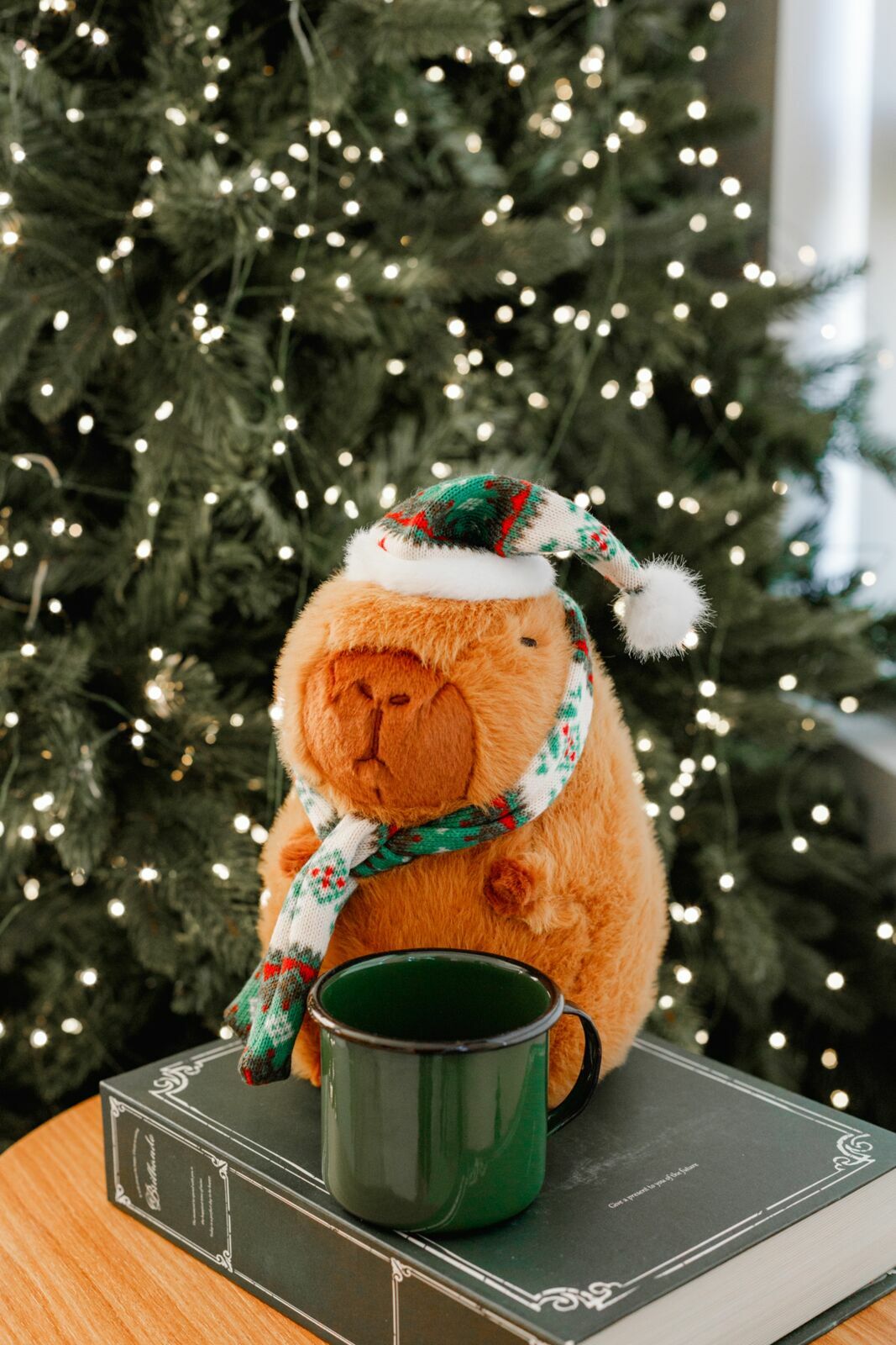 Foto sdfsdf Foto sdfsdf - Imagem 1