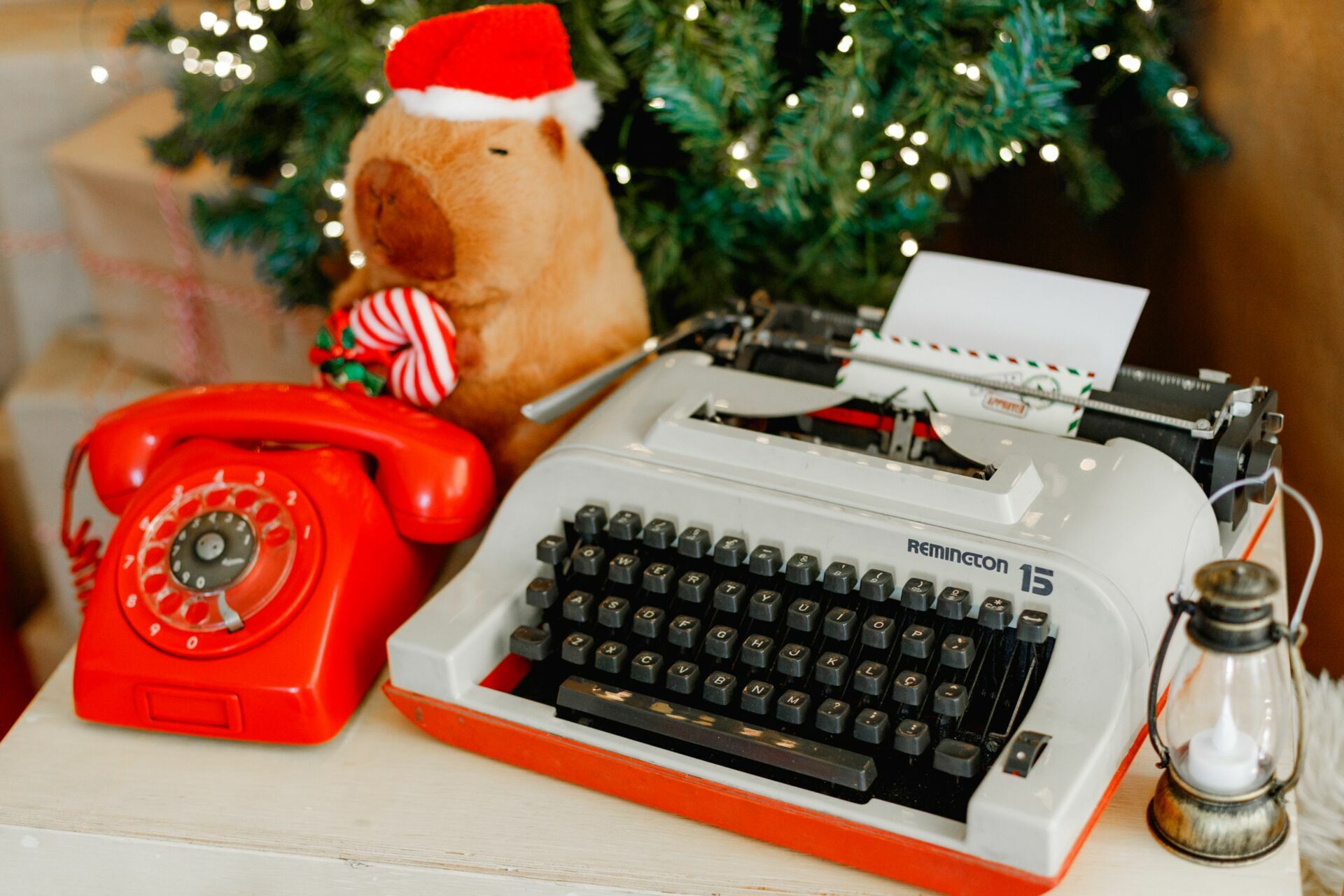 Foto sdfsdf Foto sdfsdf - Imagem 9