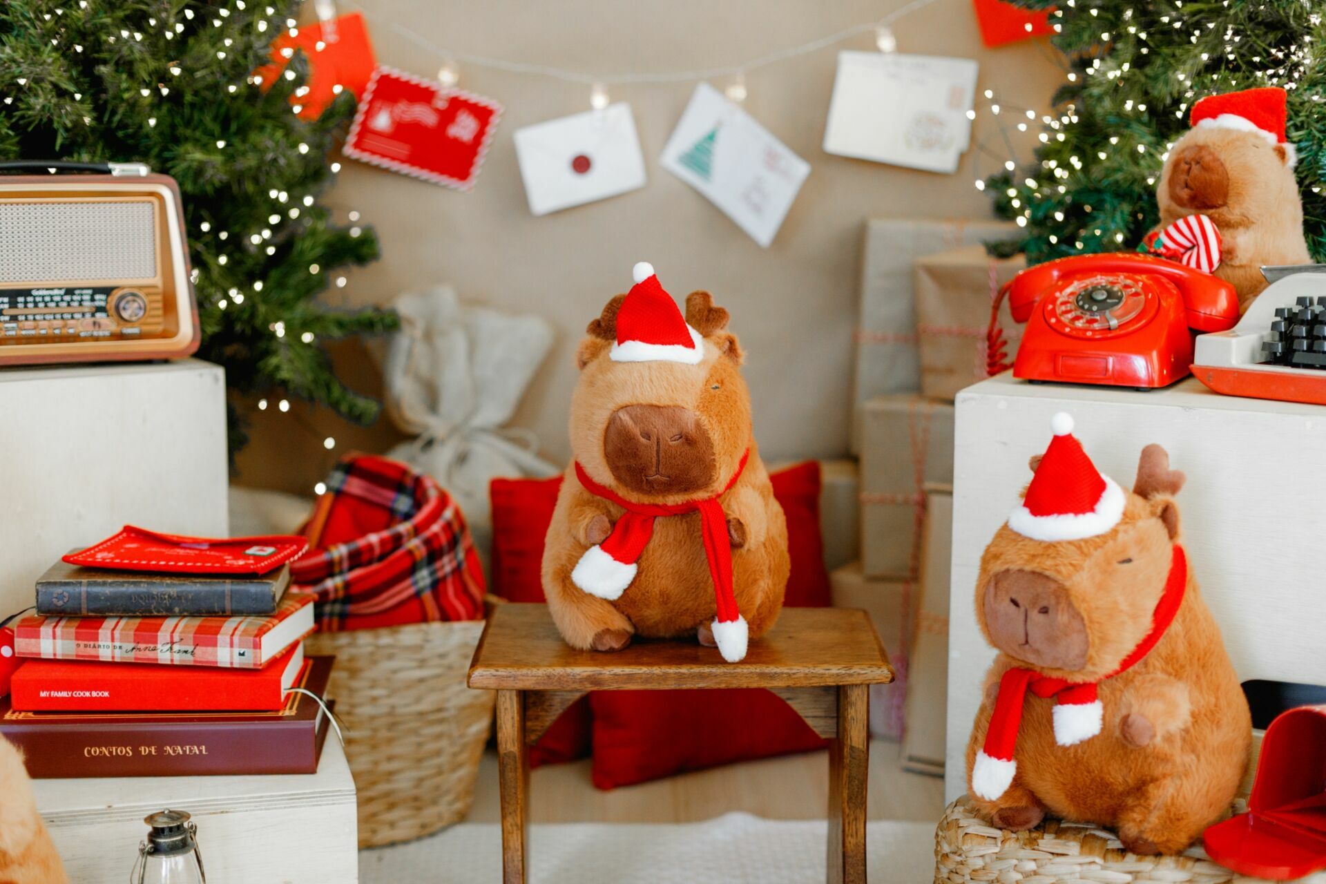 Foto sdfsdf Foto sdfsdf - Imagem 12