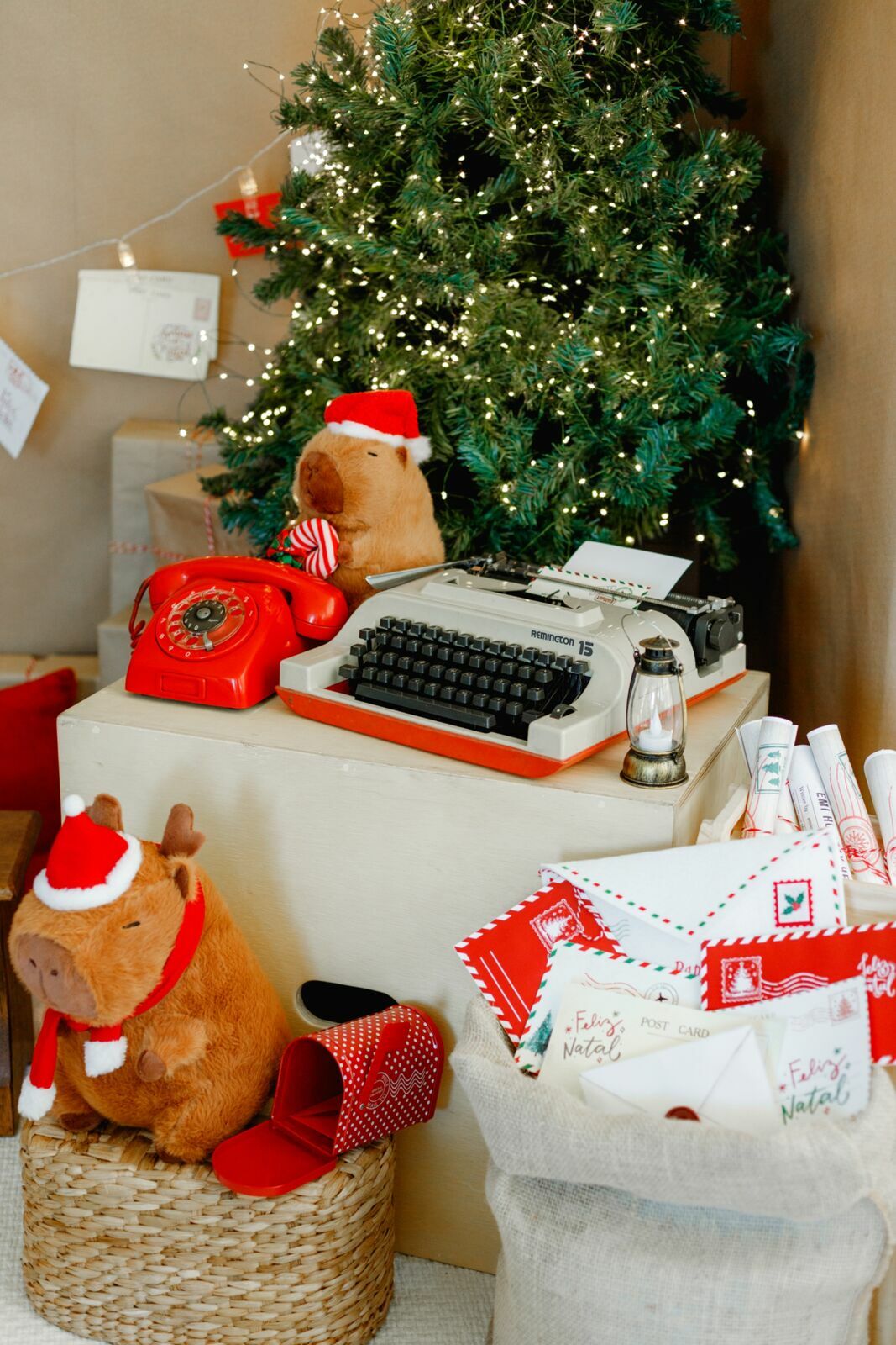 Foto sdfsdf Foto sdfsdf - Imagem 5