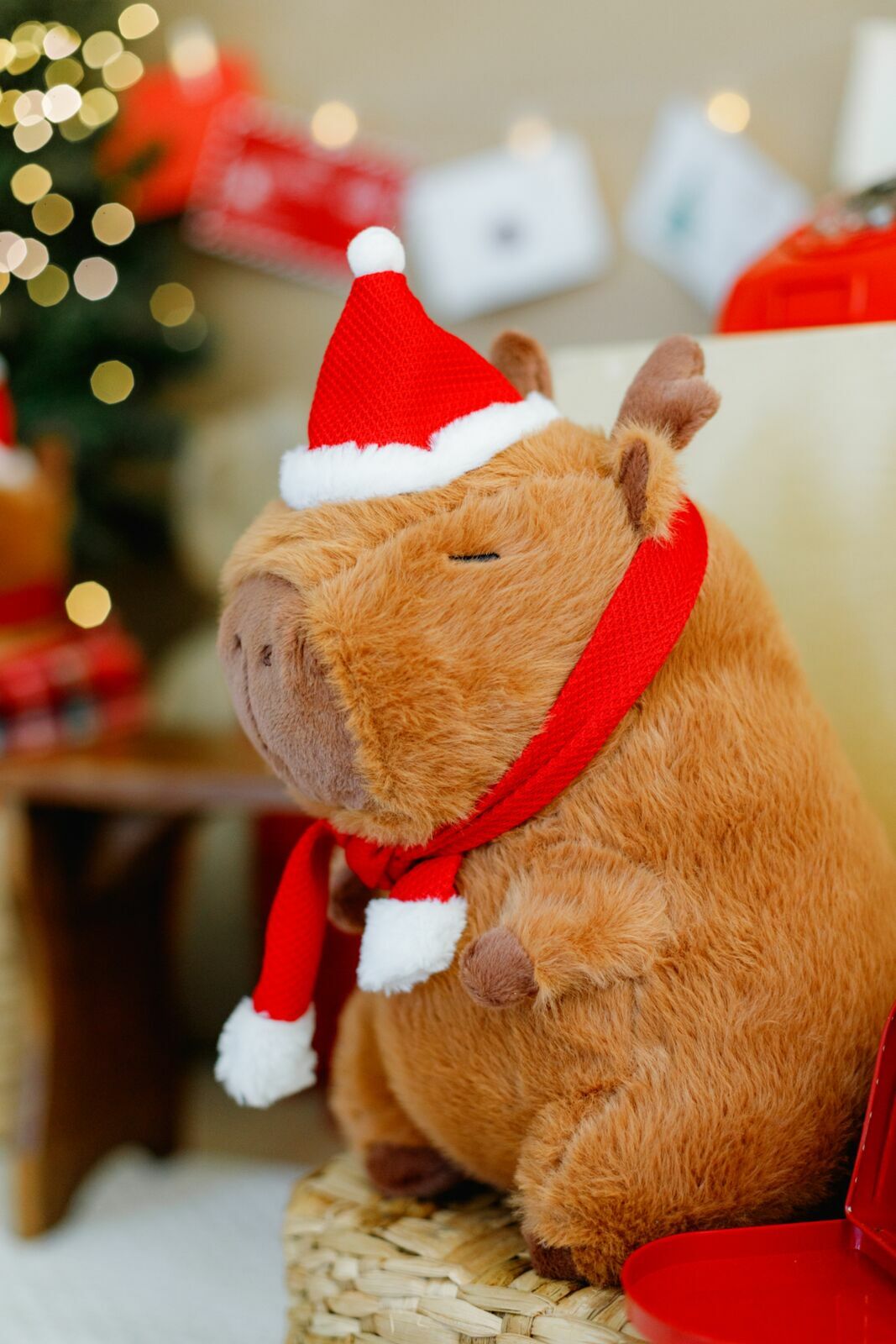 Foto sdfsdf Foto sdfsdf - Imagem 10