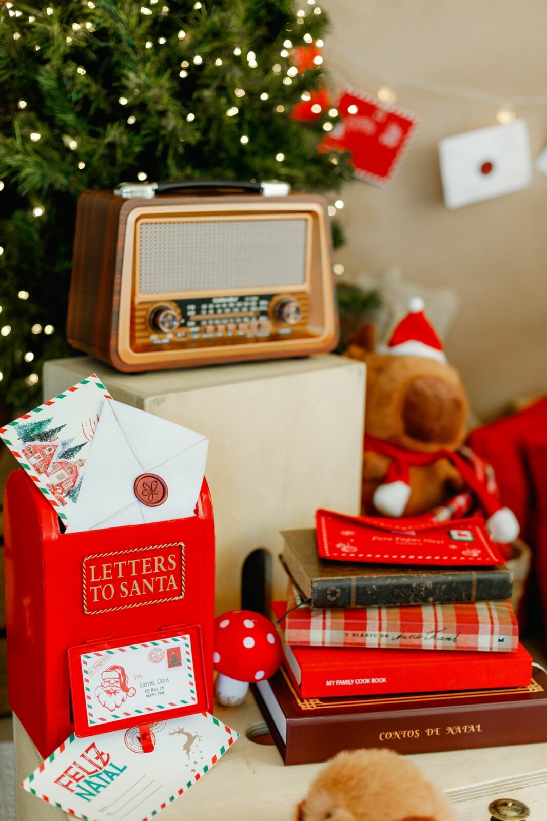 Foto sdfsdf Foto sdfsdf - Imagem 11