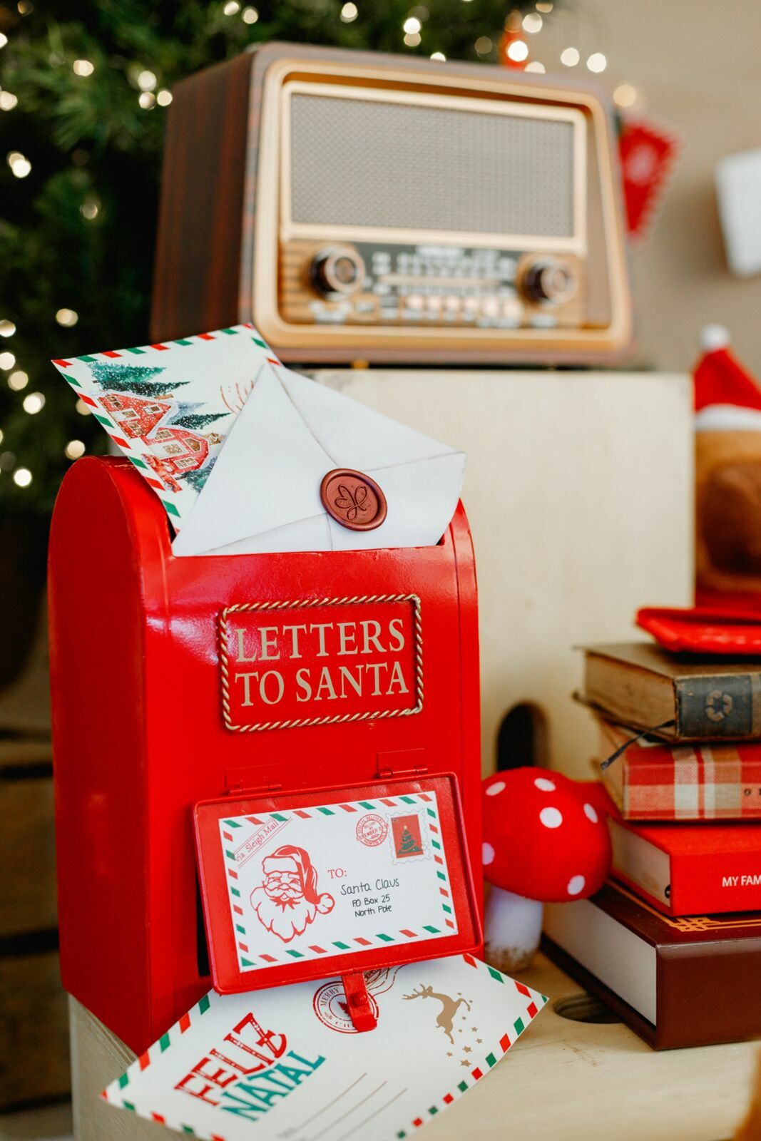 Foto sdfsdf Foto sdfsdf - Imagem 14