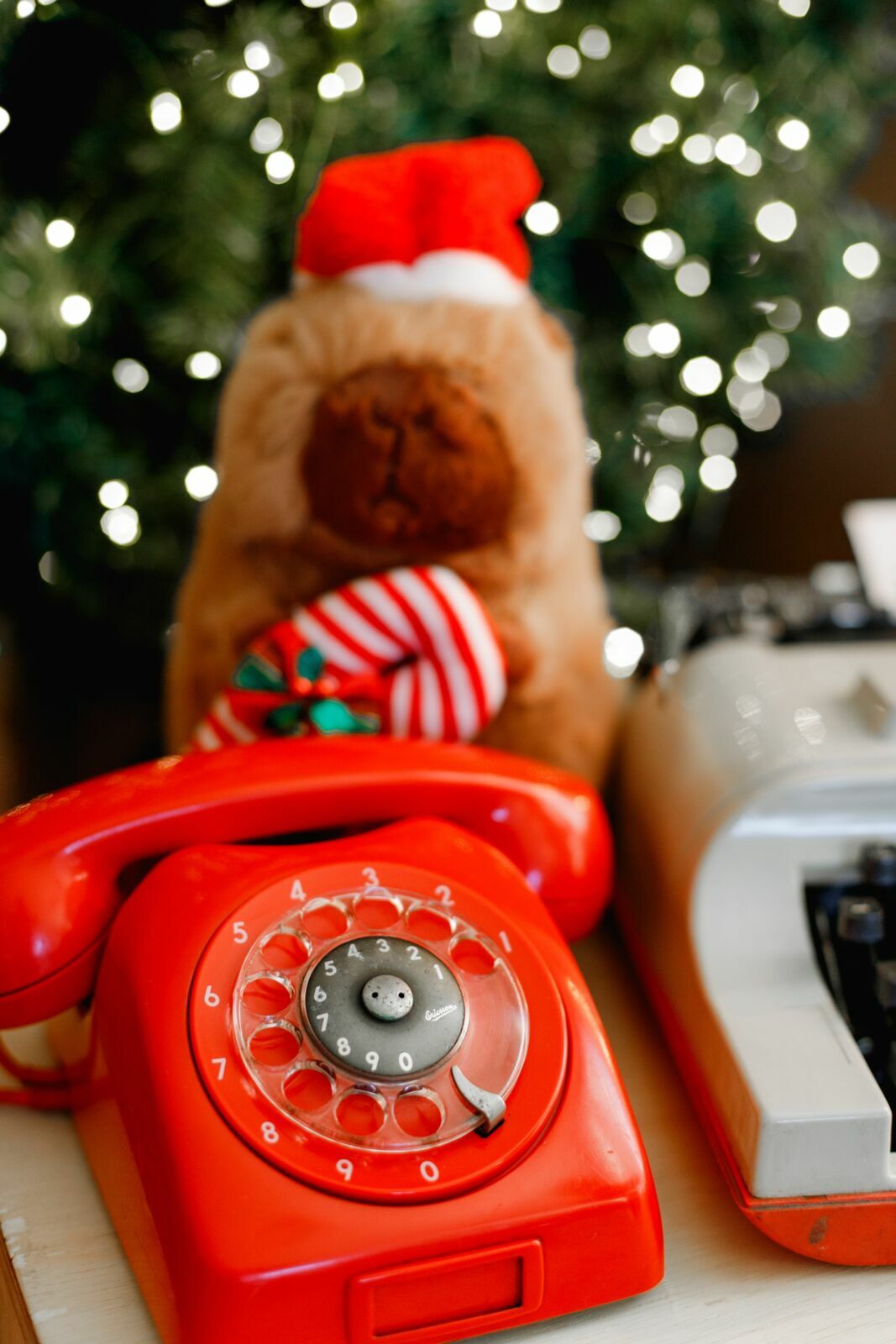 Foto sdfsdf Foto sdfsdf - Imagem 18