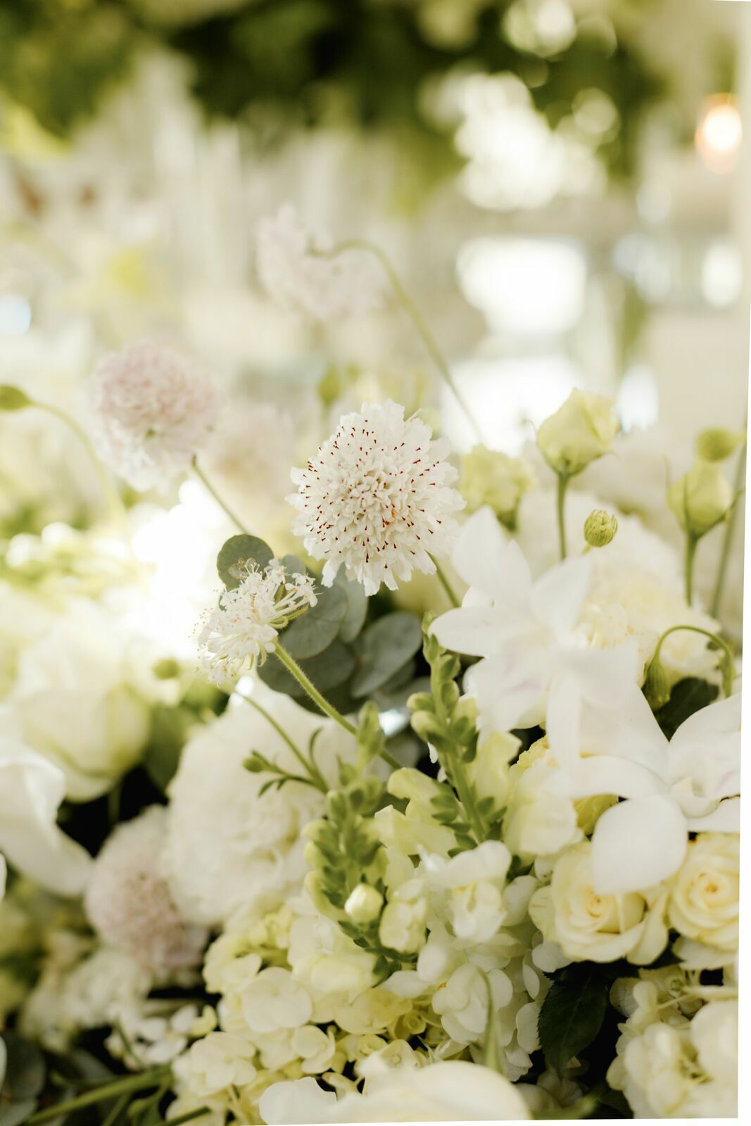 Foto Casamento - Imagem 5