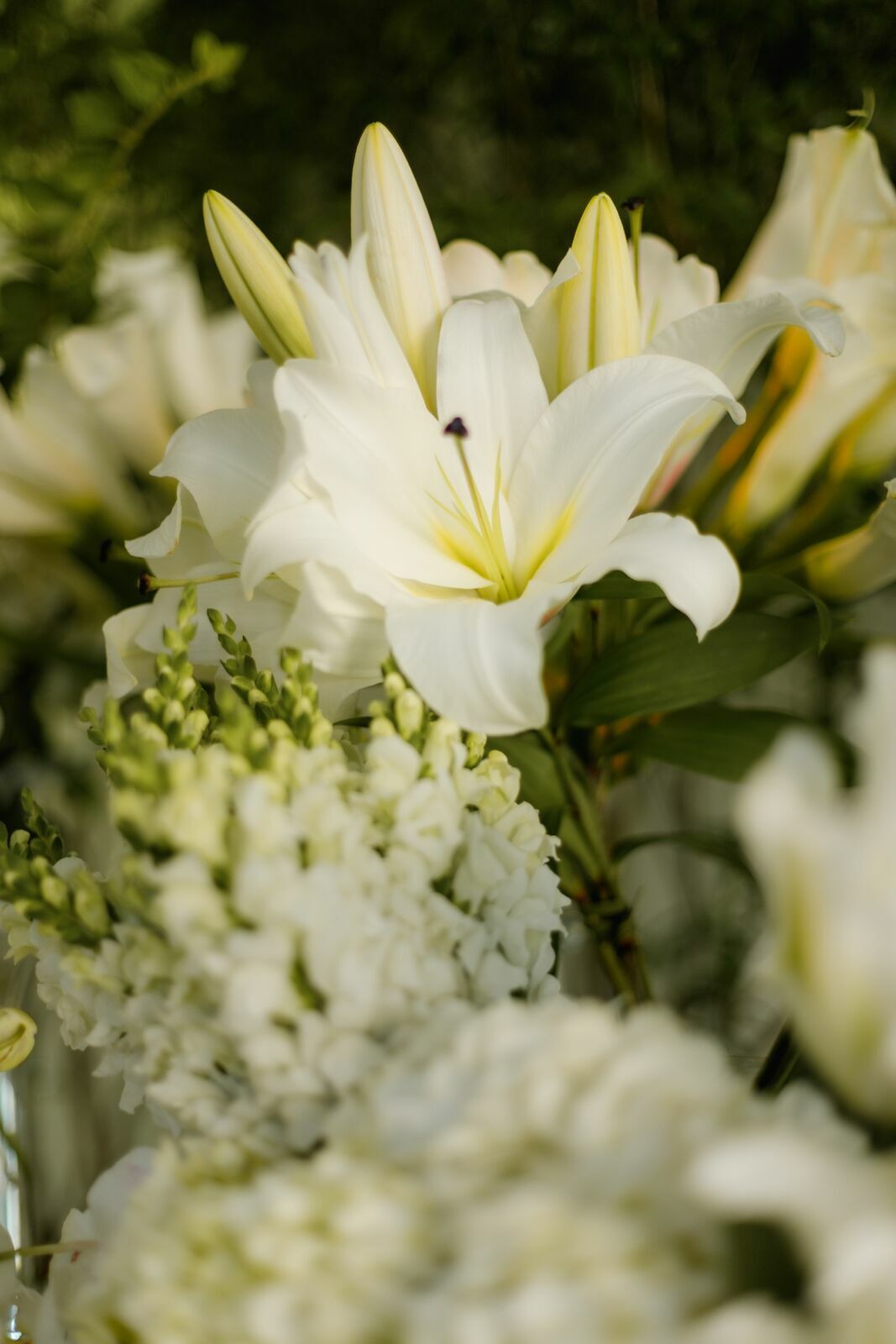 Foto Casamento - Imagem 16