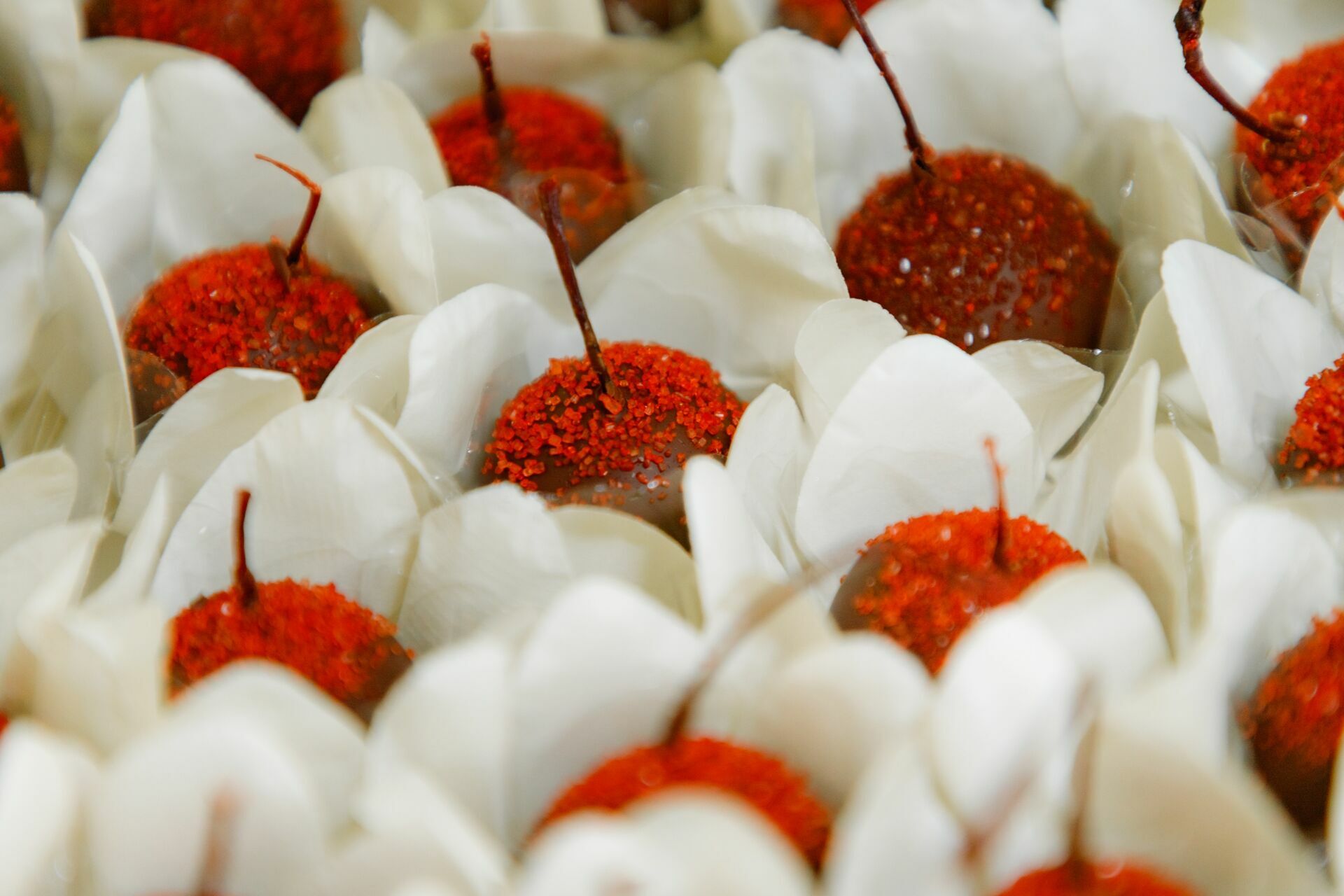 Foto Casamento - Imagem 17