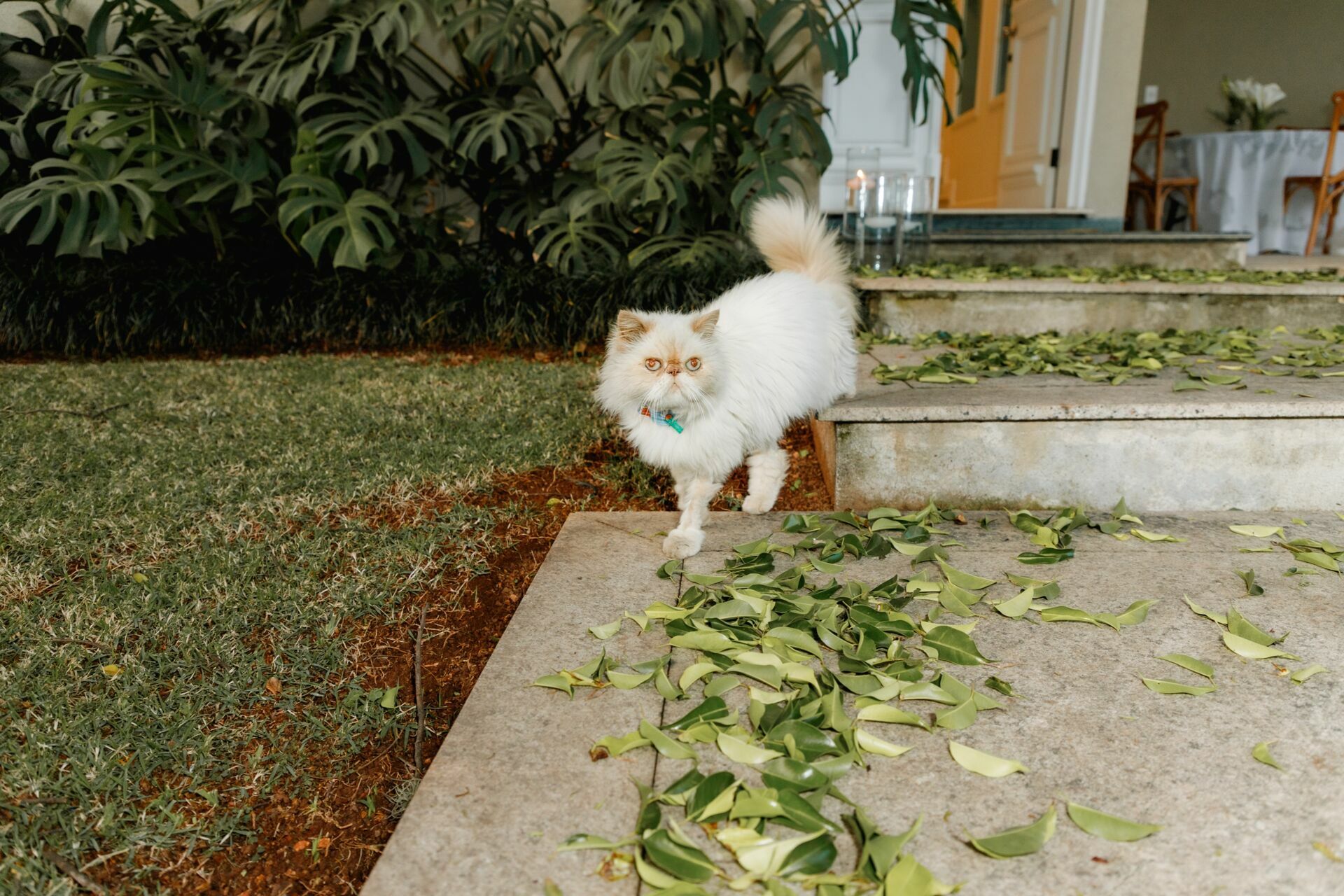 Foto Casamento - Imagem 67