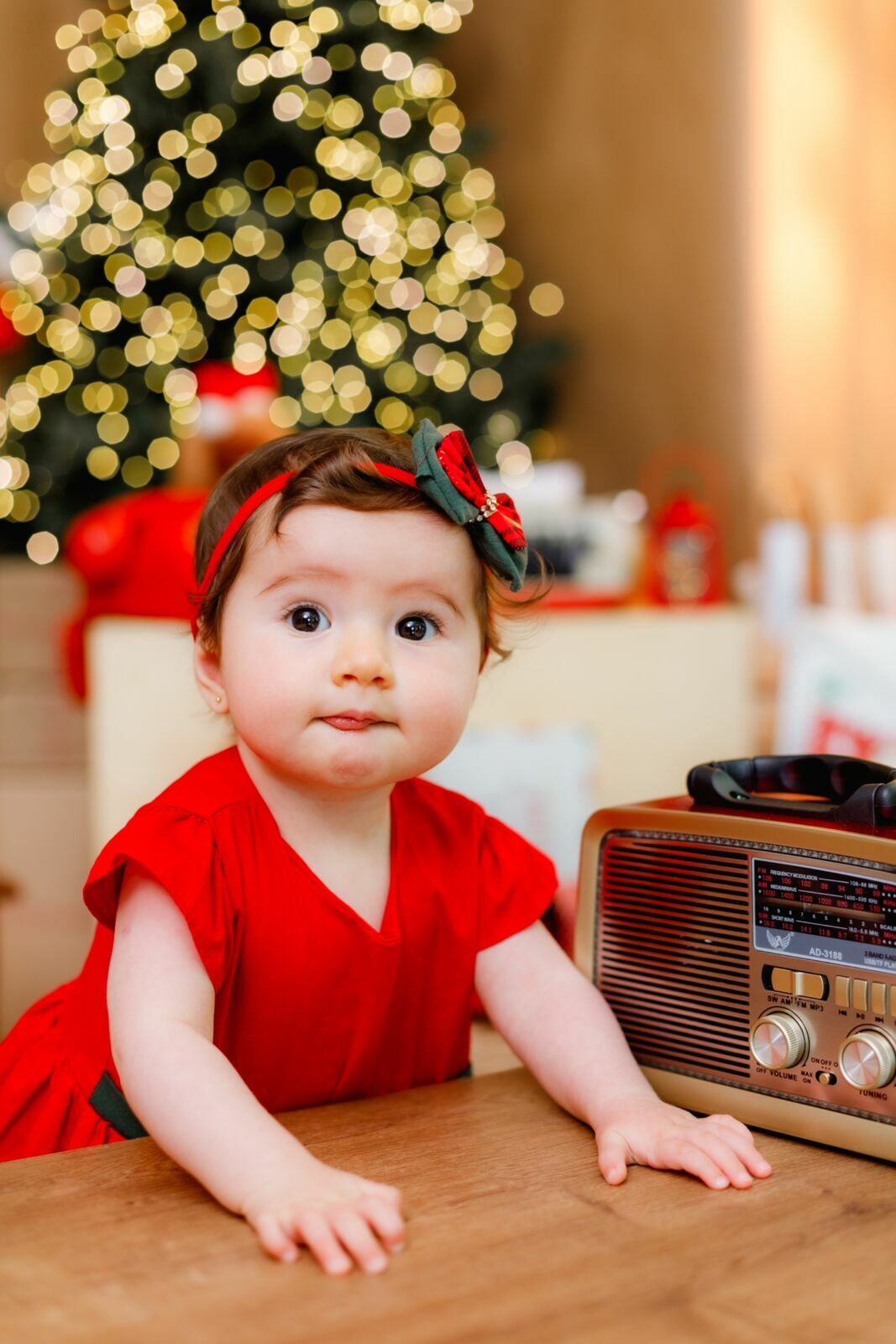 Foto Bia - Imagem 14