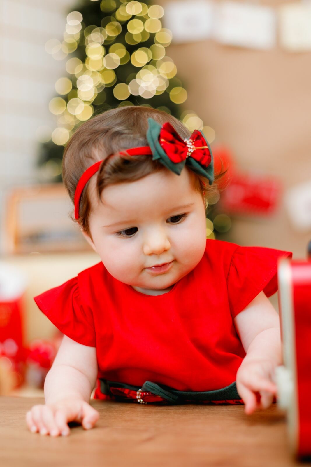 Foto Bia - Imagem 13