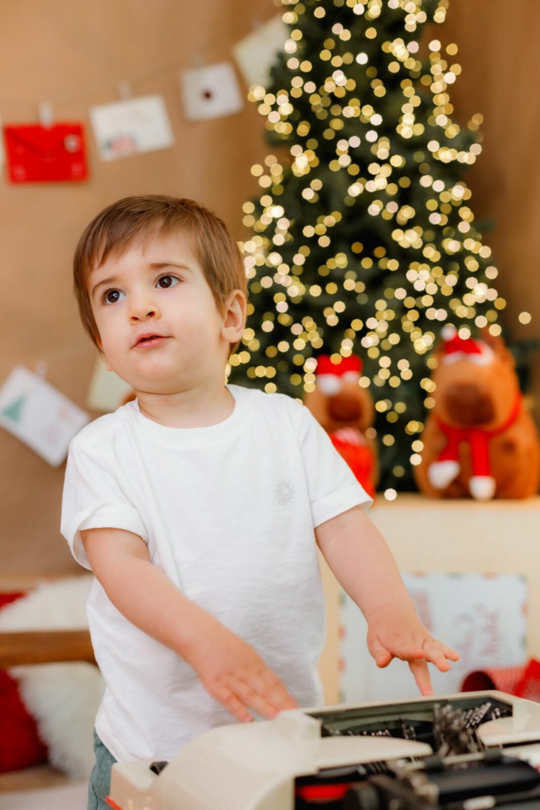 Foto pdf - Imagem 11