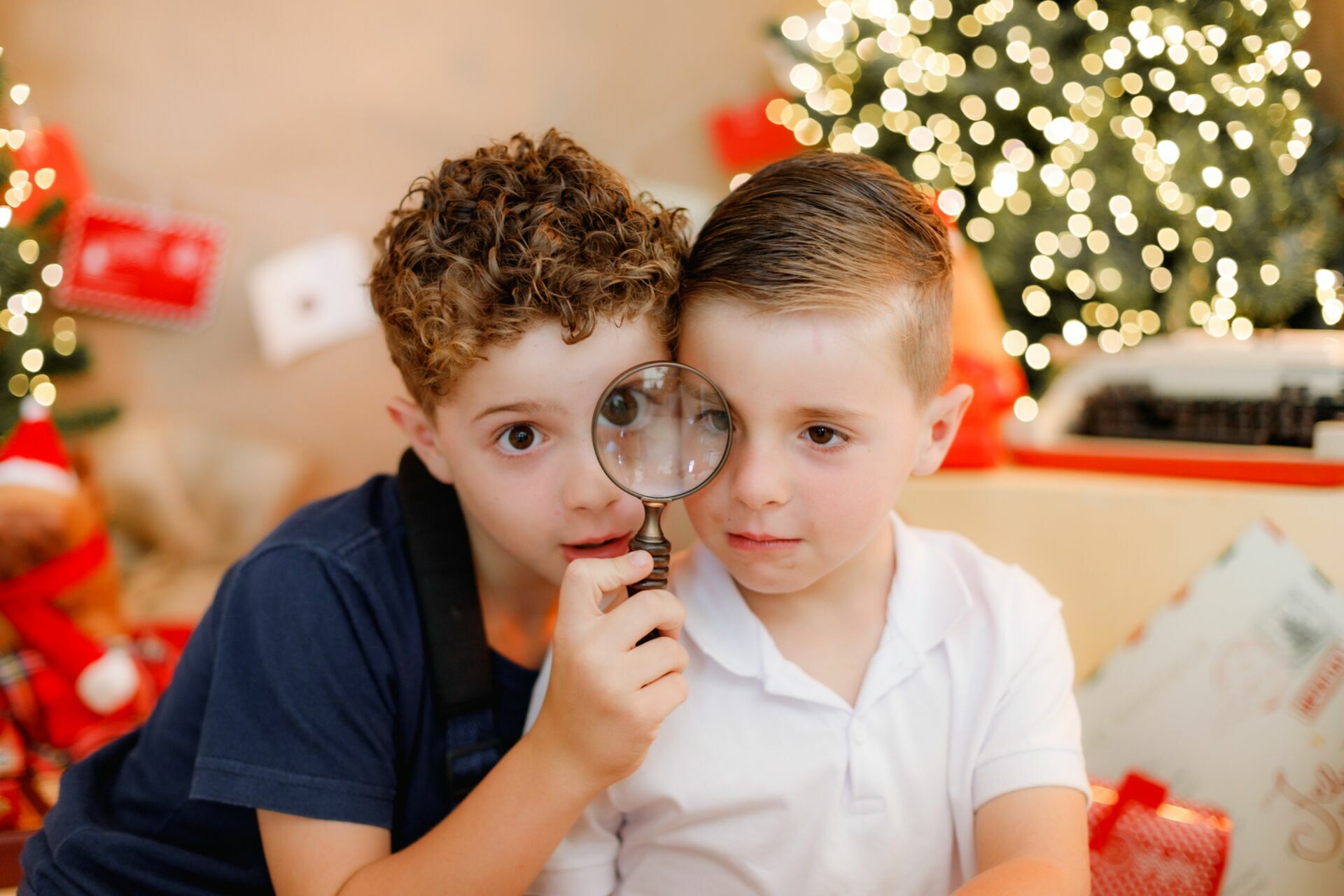 Foto sdfsdf Foto sdfsdf - Imagem 7