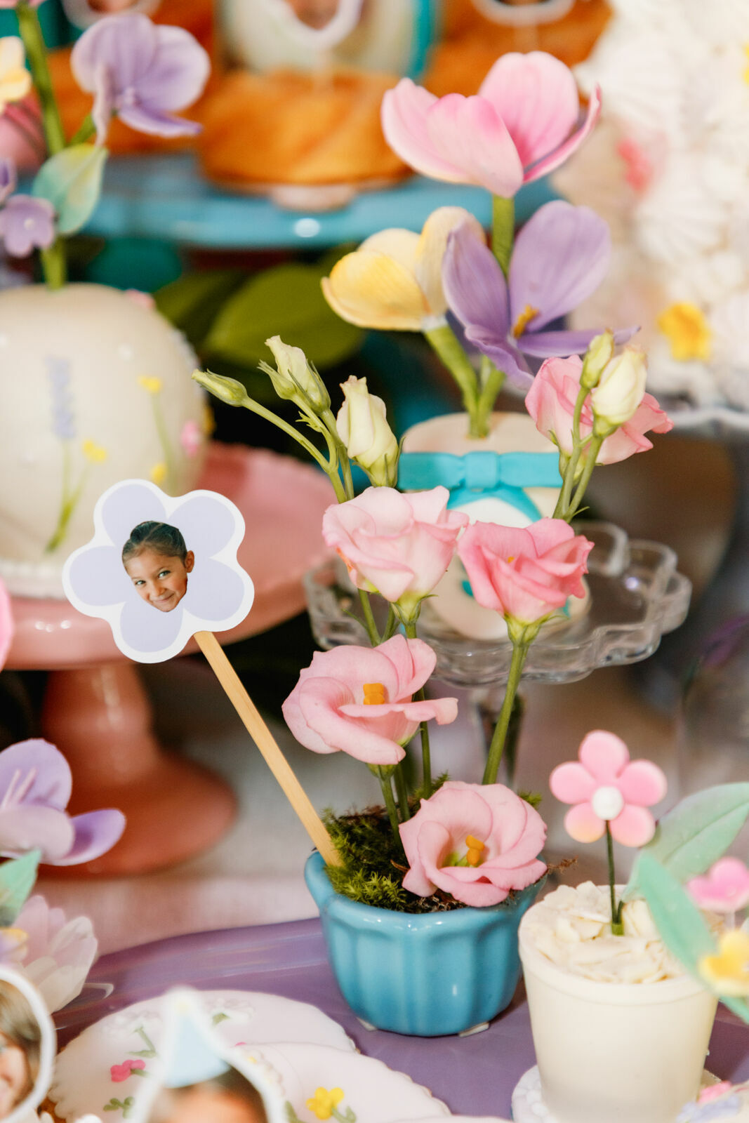 Foto sophia - Imagem 20