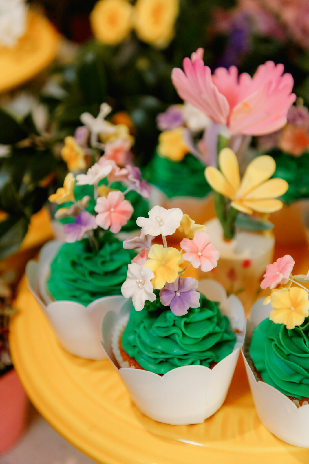 Foto sophia - Imagem 32