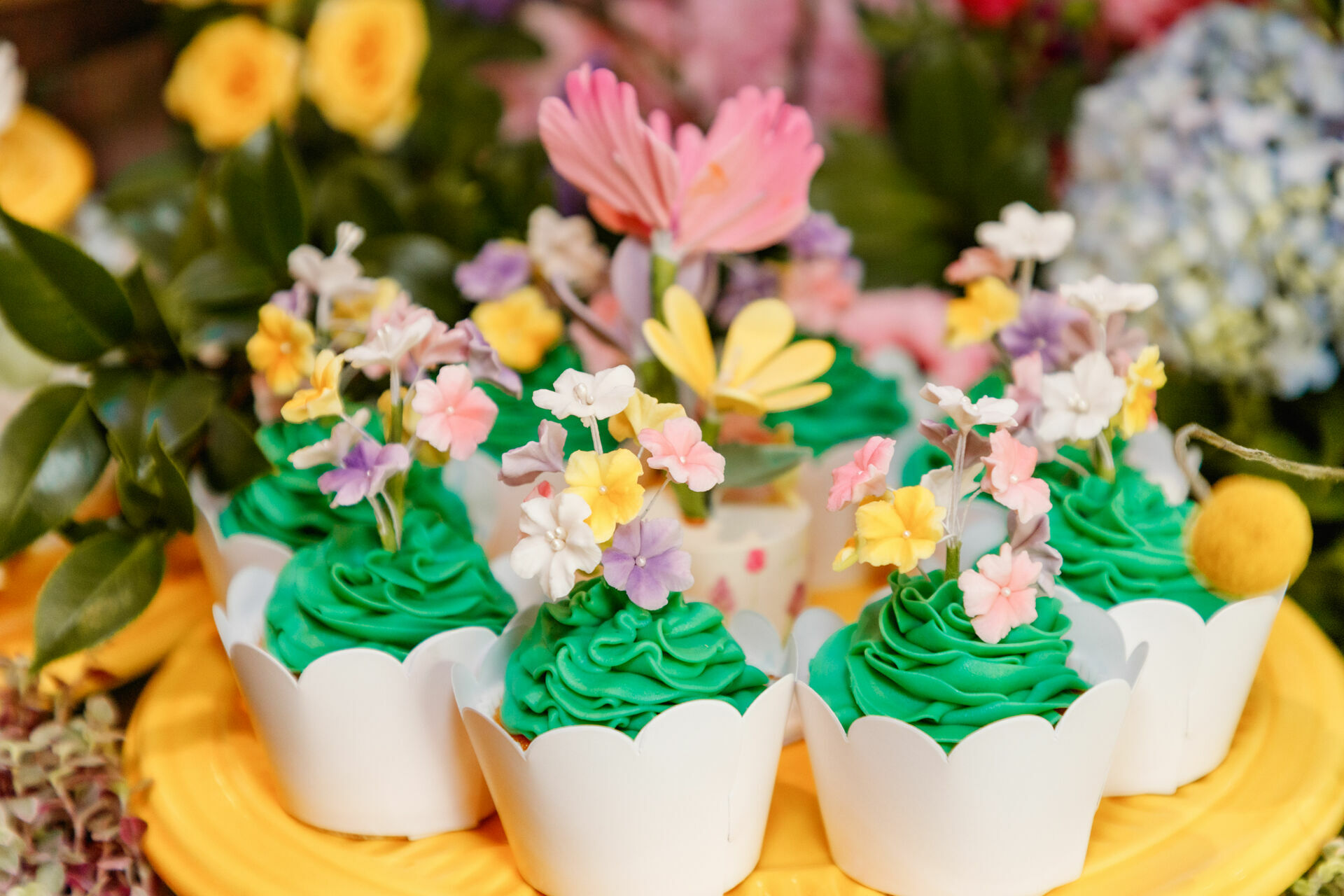 Foto sophia - Imagem 17