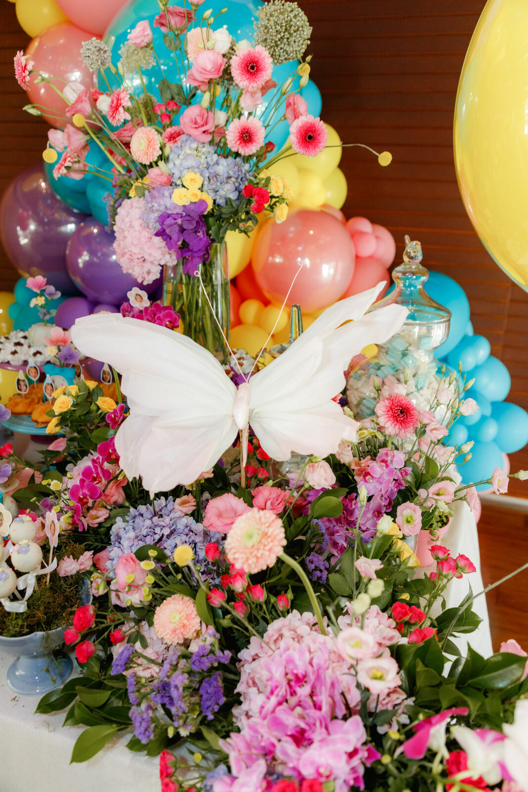 Foto sophia - Imagem 30