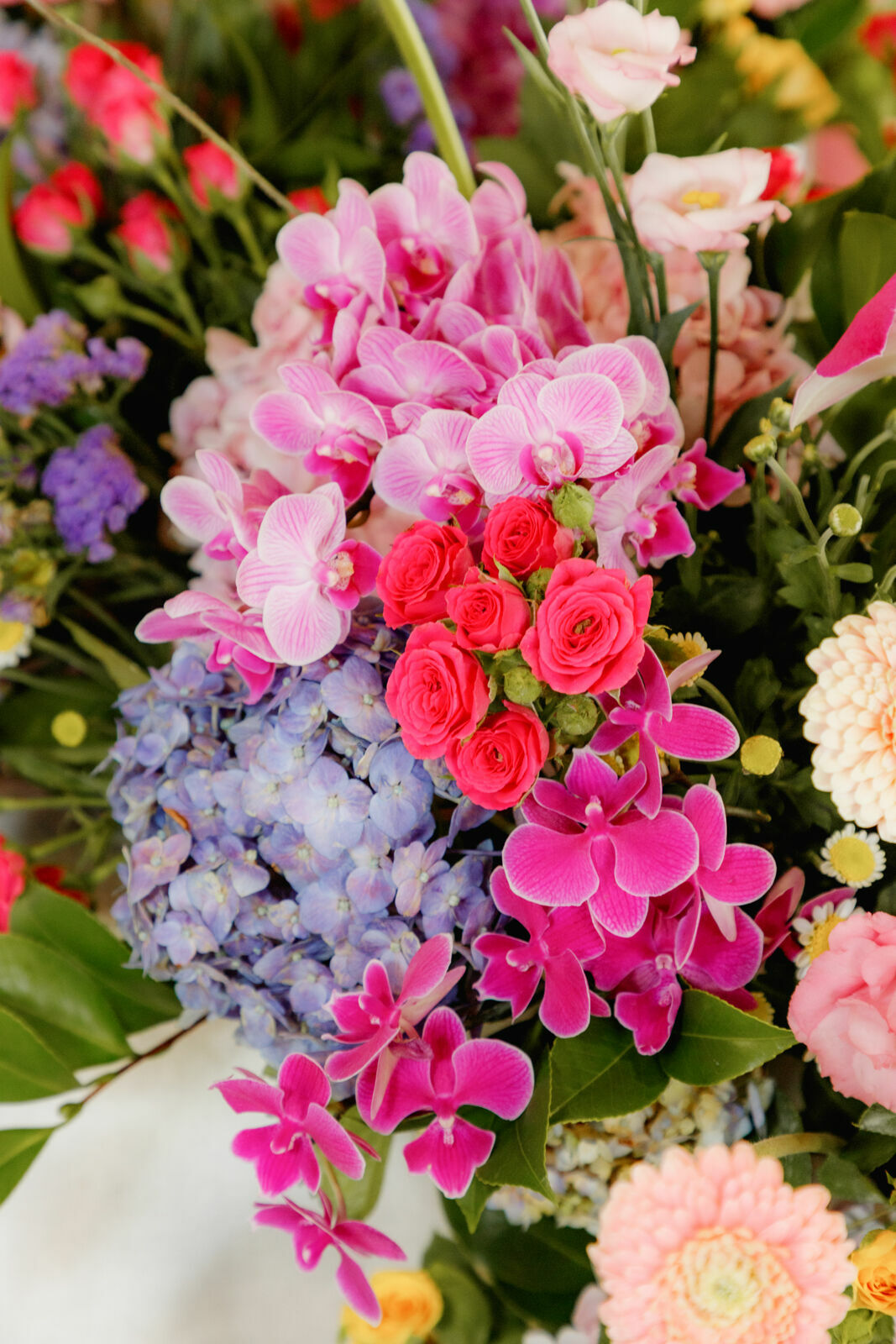 Foto sophia - Imagem 25