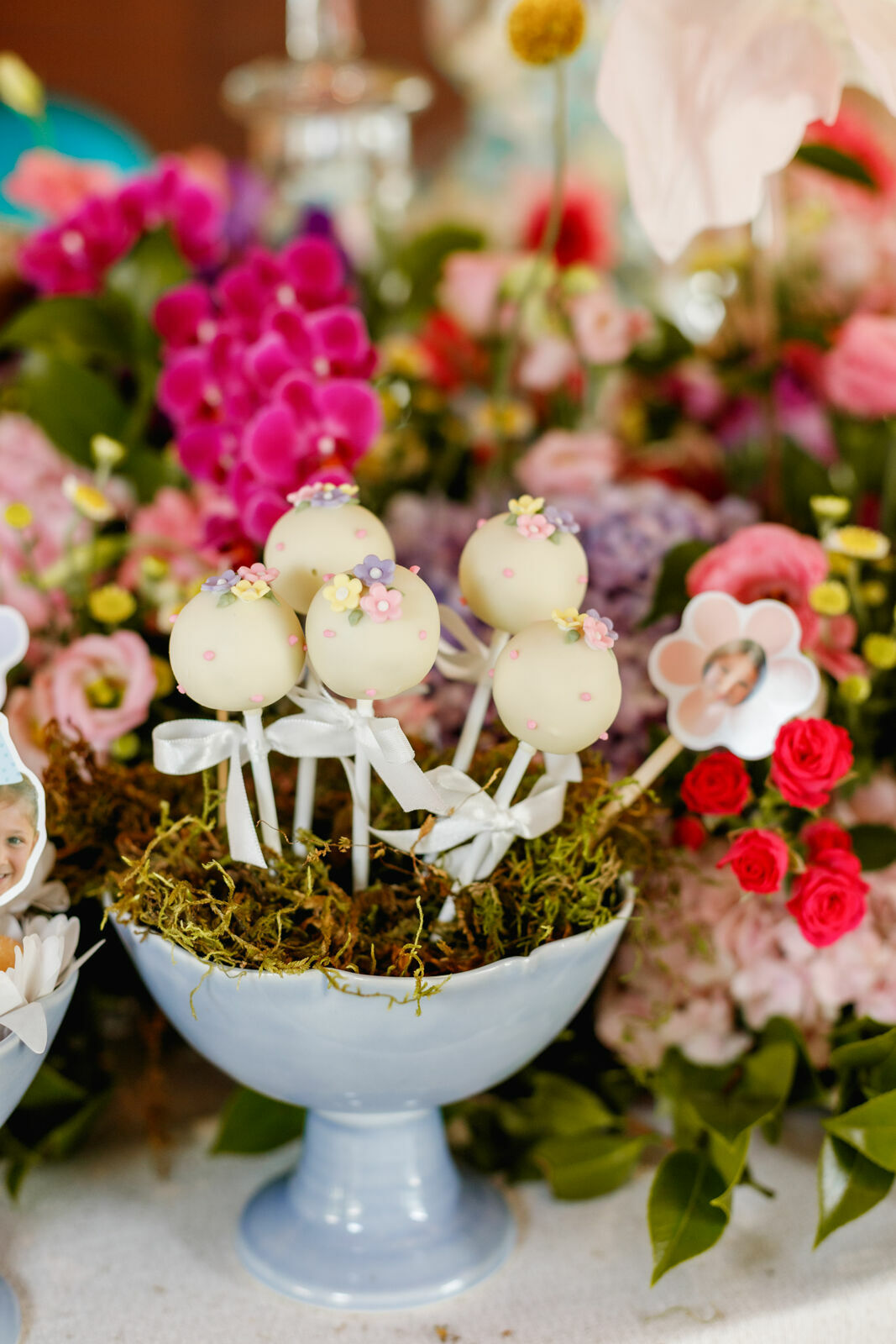 Foto sophia - Imagem 12