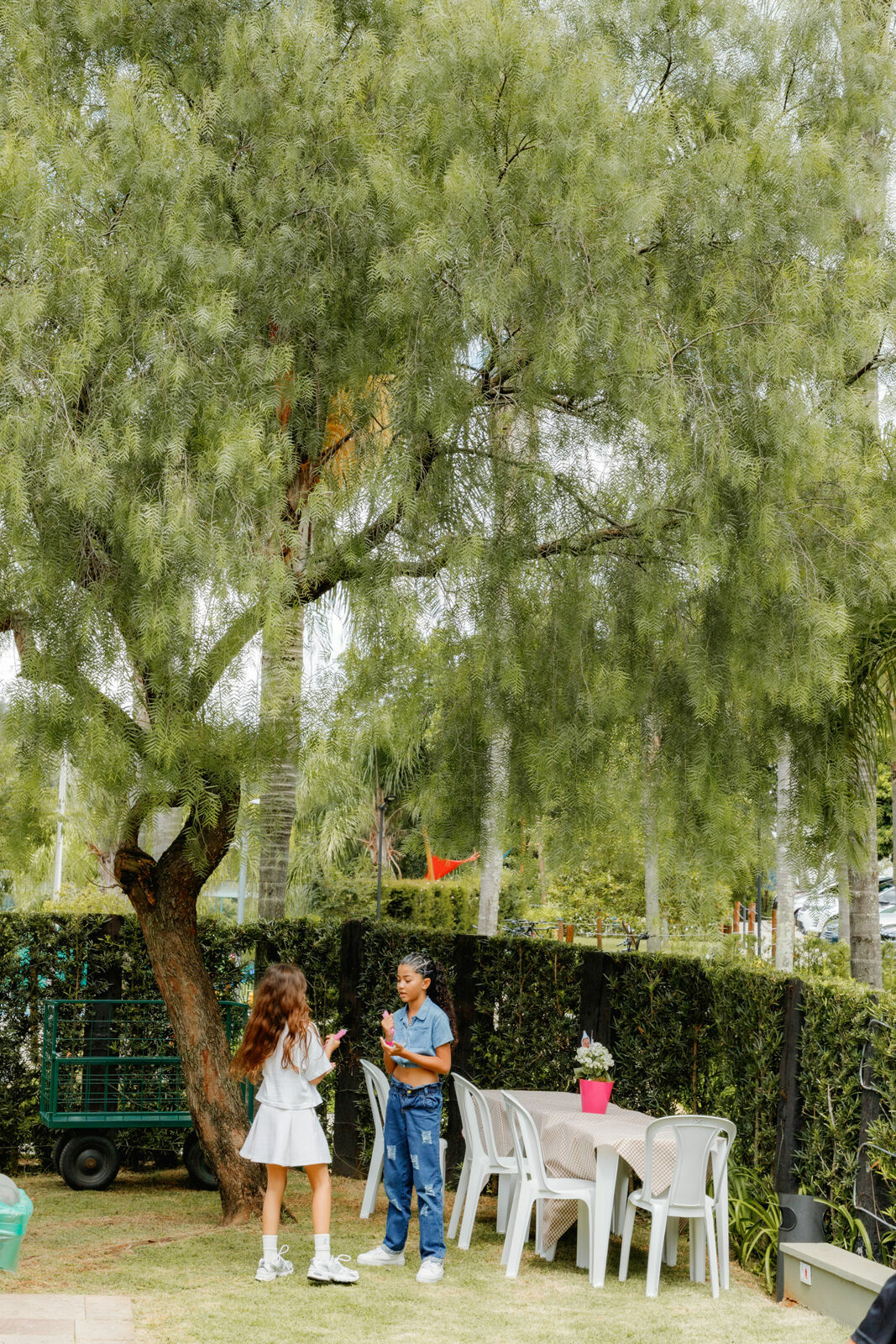 Foto sophia - Imagem 54