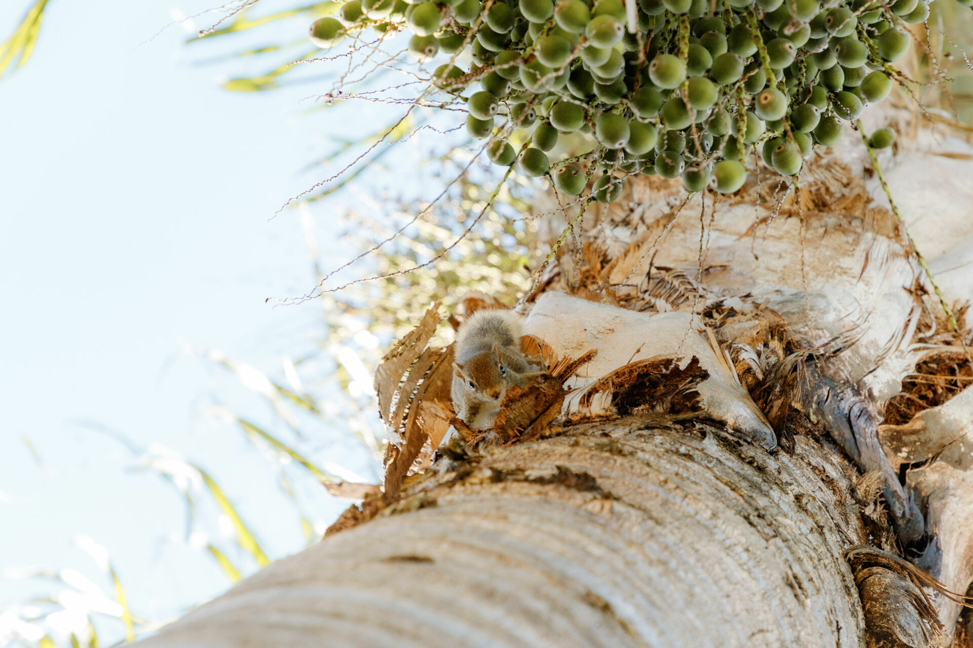 Foto sophia - Imagem 131